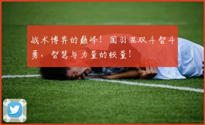 战术博弈的巅峰!国羽混双斗智斗勇,智慧与力量的较量!