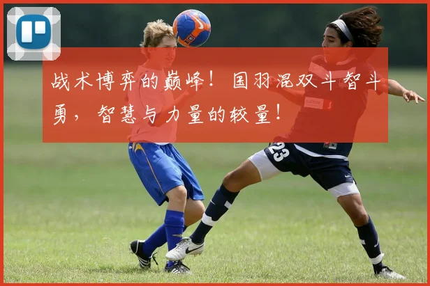 战术博弈的巅峰!国羽混双斗智斗勇,智慧与力量的较量!