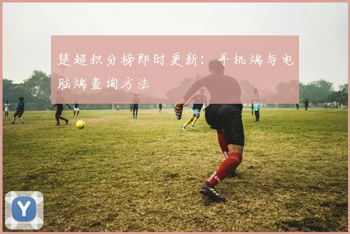 楚超积分榜即时更新：手机端与电脑端查询方法