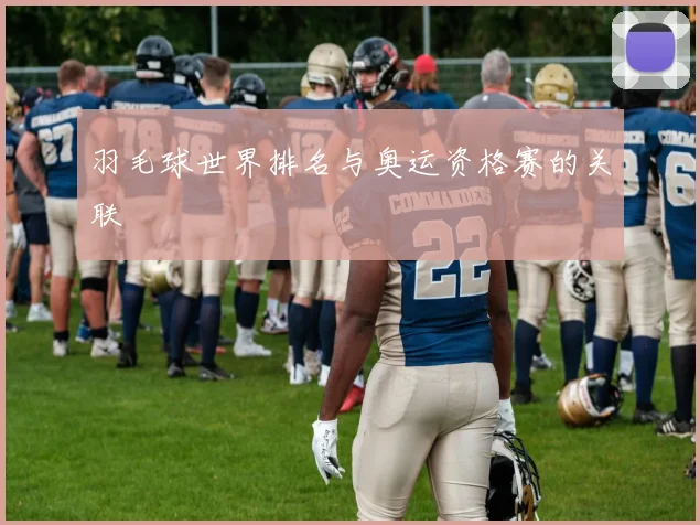 羽毛球世界排名与奥运资格赛的关联