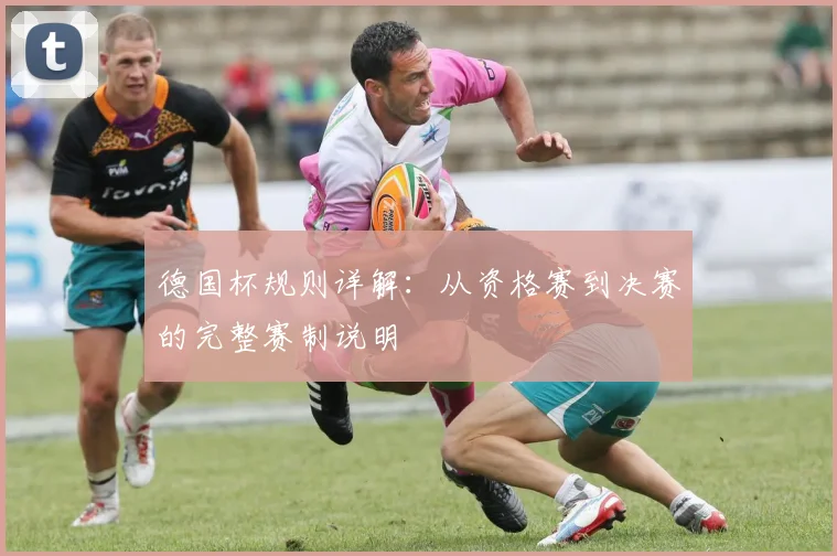 德国杯规则详解：从资格赛到决赛的完整赛制说明